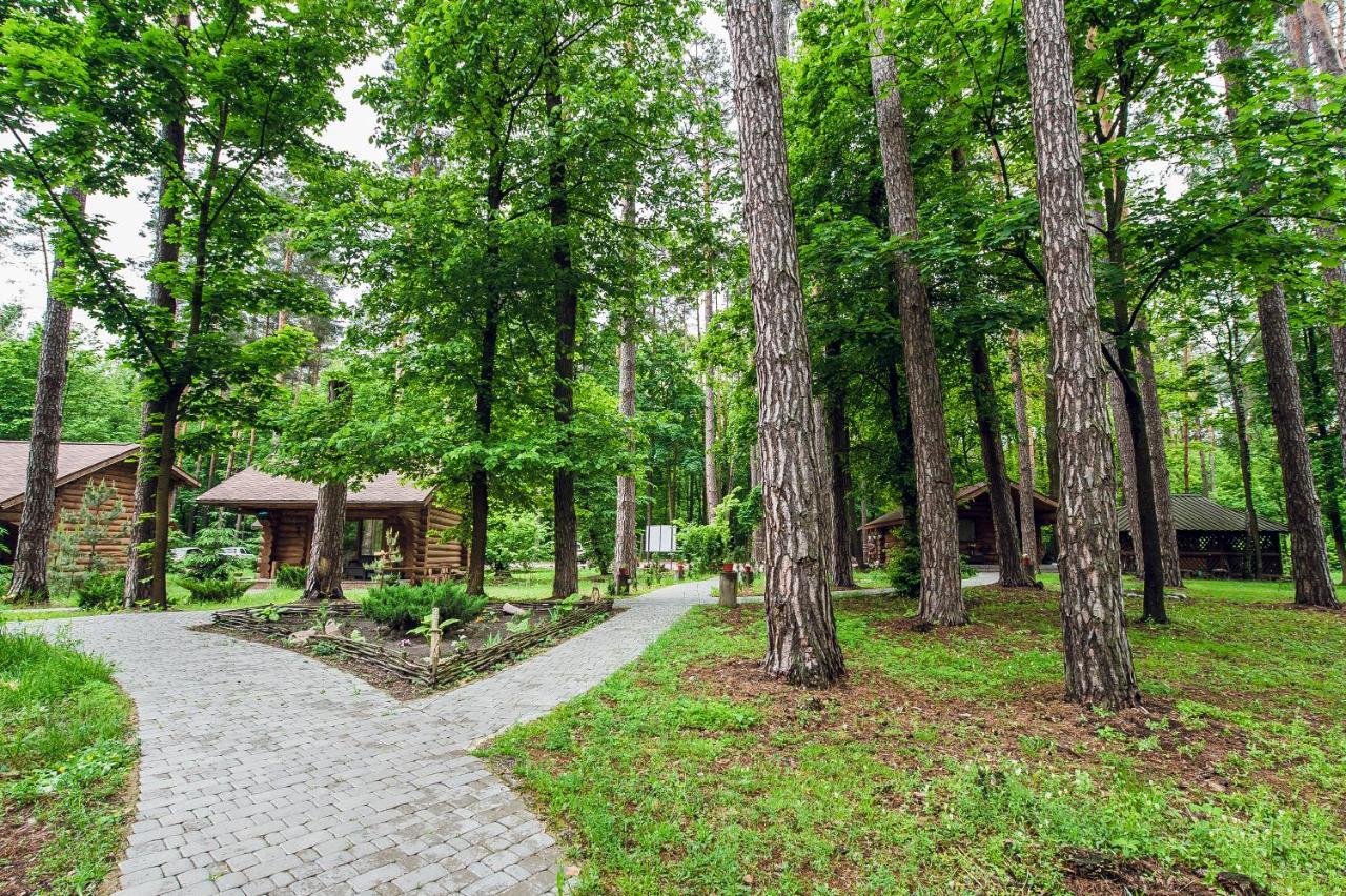 Forest Hut Stariy Prud Pylypovychi エクステリア 写真